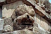 Prambanan - Candi Lara Jonggrang, gargoyles in the form of a 'makara' 